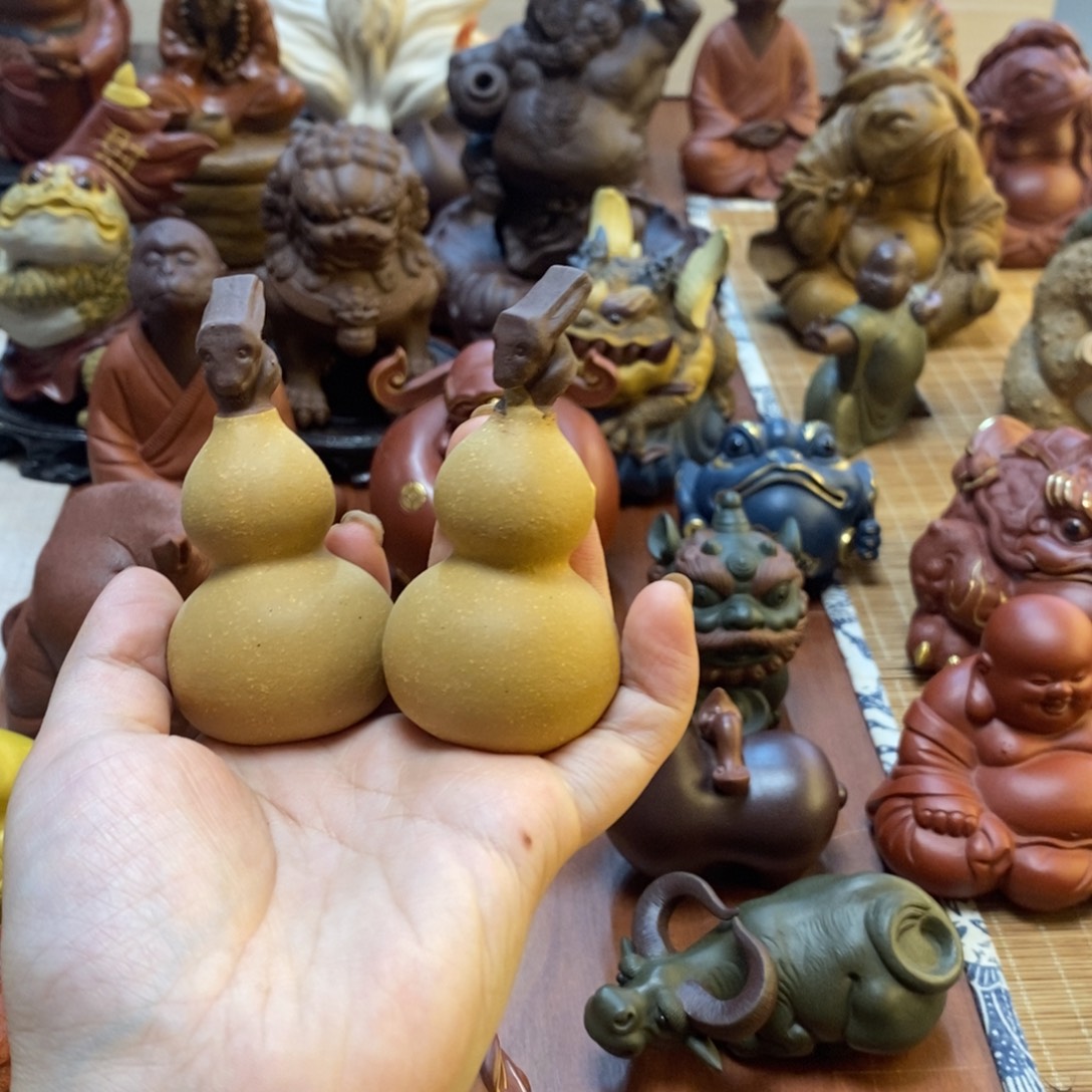 茶宠紫砂在续保回家看