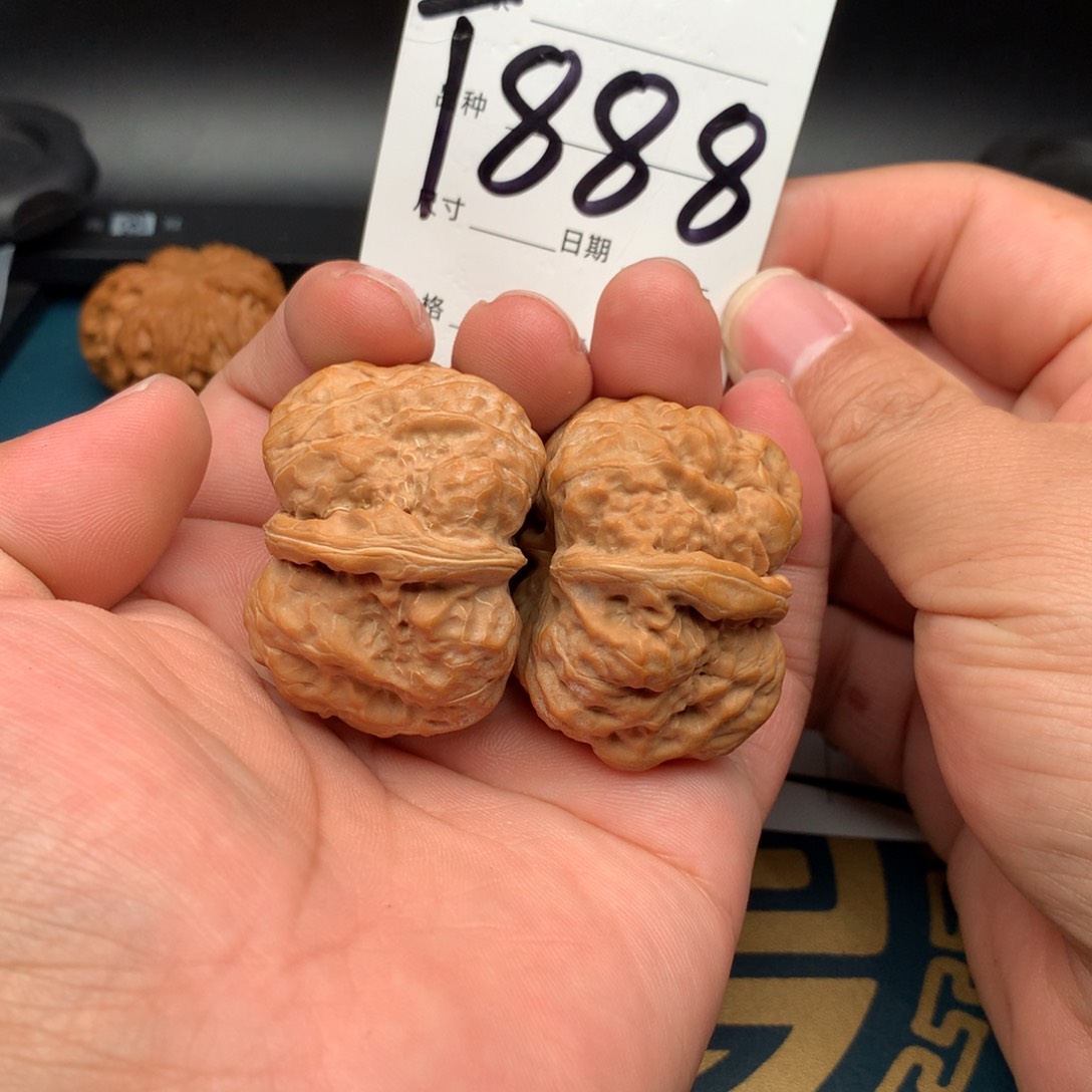 文玩核桃把件41蛤蟆888