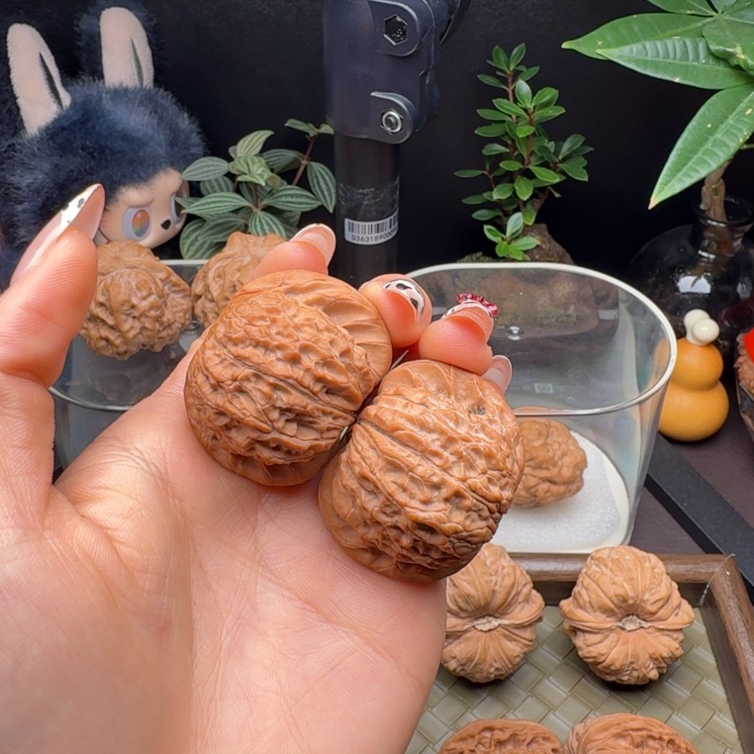 把件龙脊菩提血麒麟（微修）40