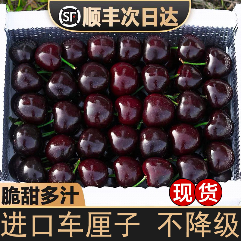 4JDD大果加大加黑【今天拍明天到】智利进口空运车厘子鲜头茬宝宝孕妇内附果径卡800g FZ桑提娜樱桃智利共和国