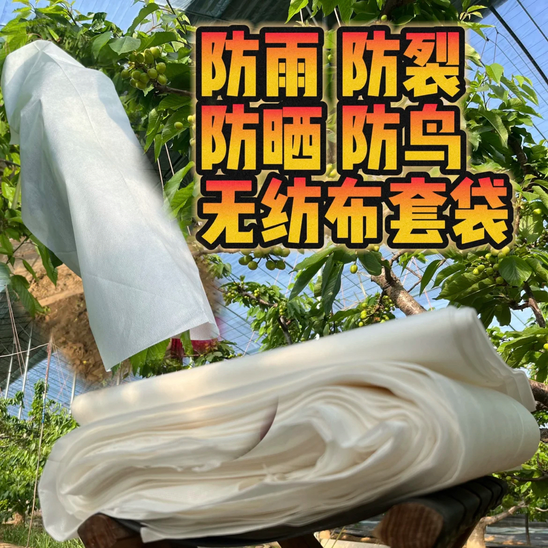 无纺布樱桃套袋防水果树专用防虫防鸟防高温尺寸60×80批发遮阳