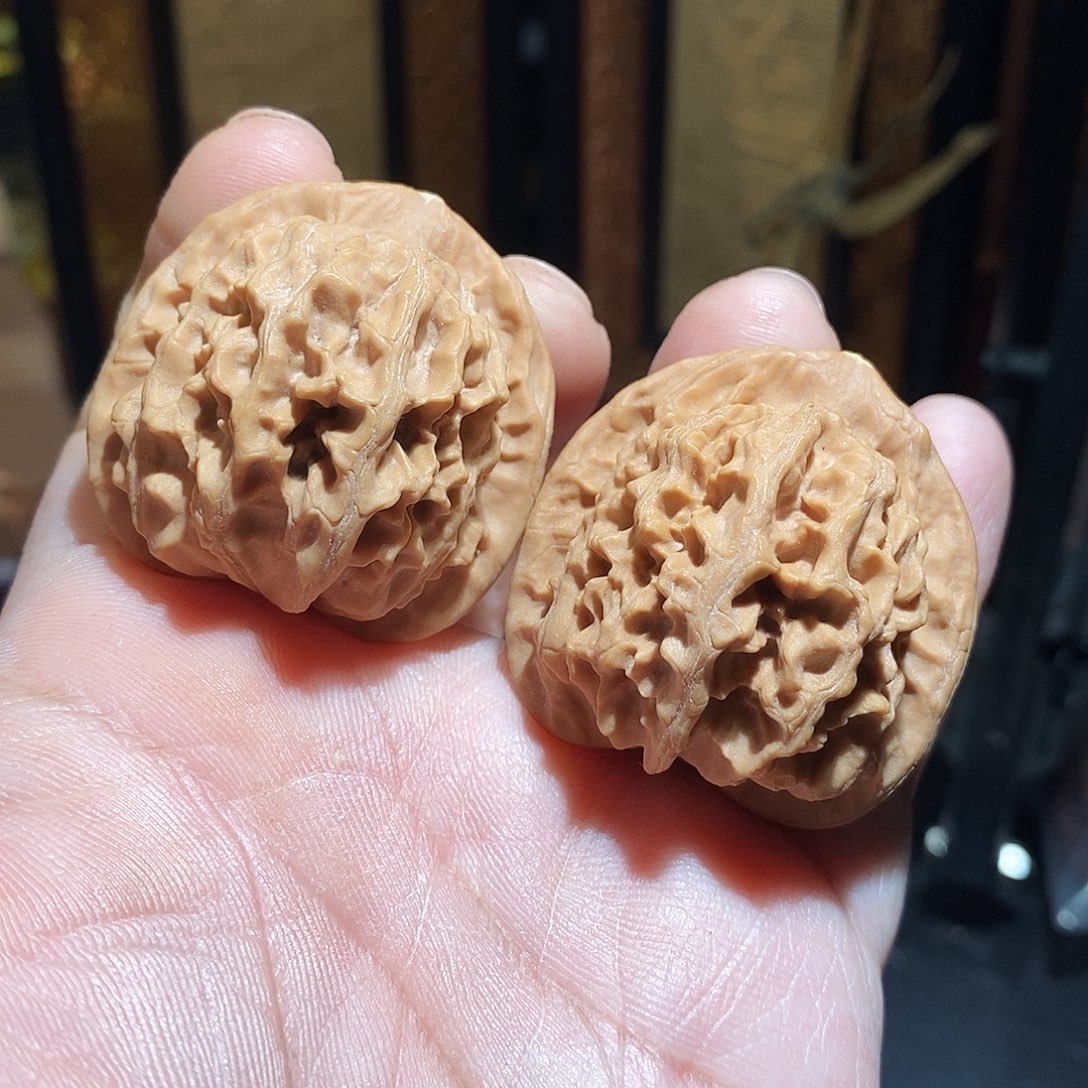 文玩核桃把件40天地狮子头全品