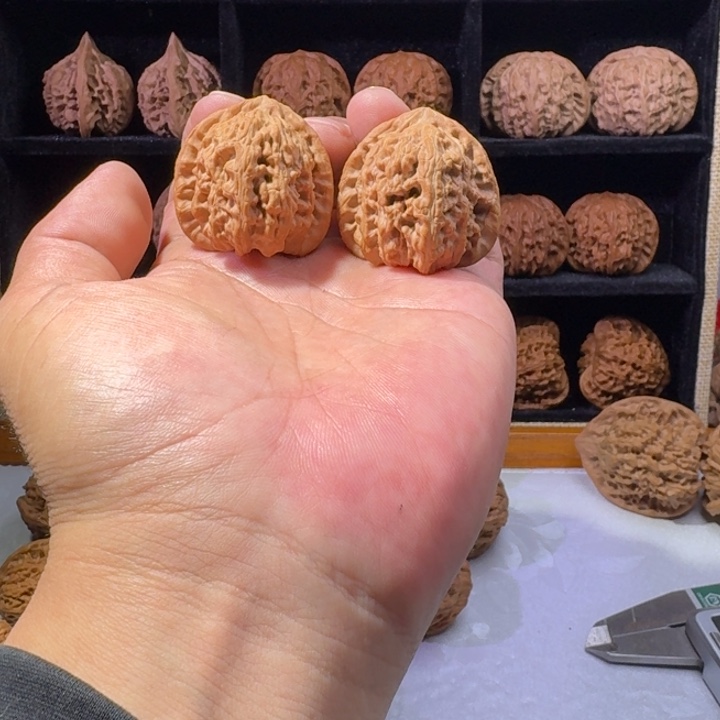 吊坠文玩核桃38白狮子，边差1