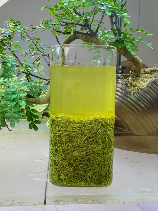 【2025新茶】豫山沟•浉河港信阳毛尖断芽尖碎