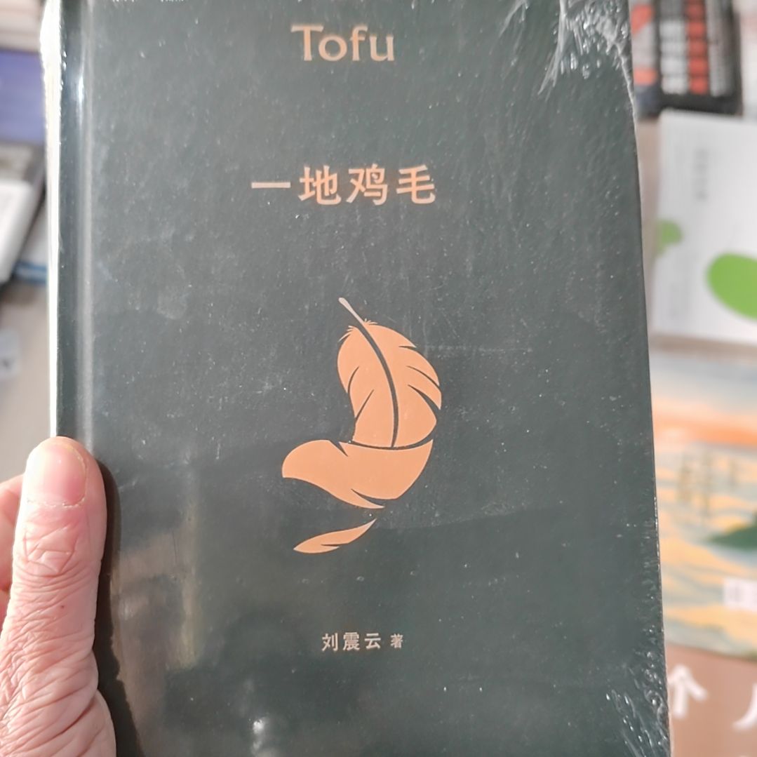 一地鸡毛刘震云   