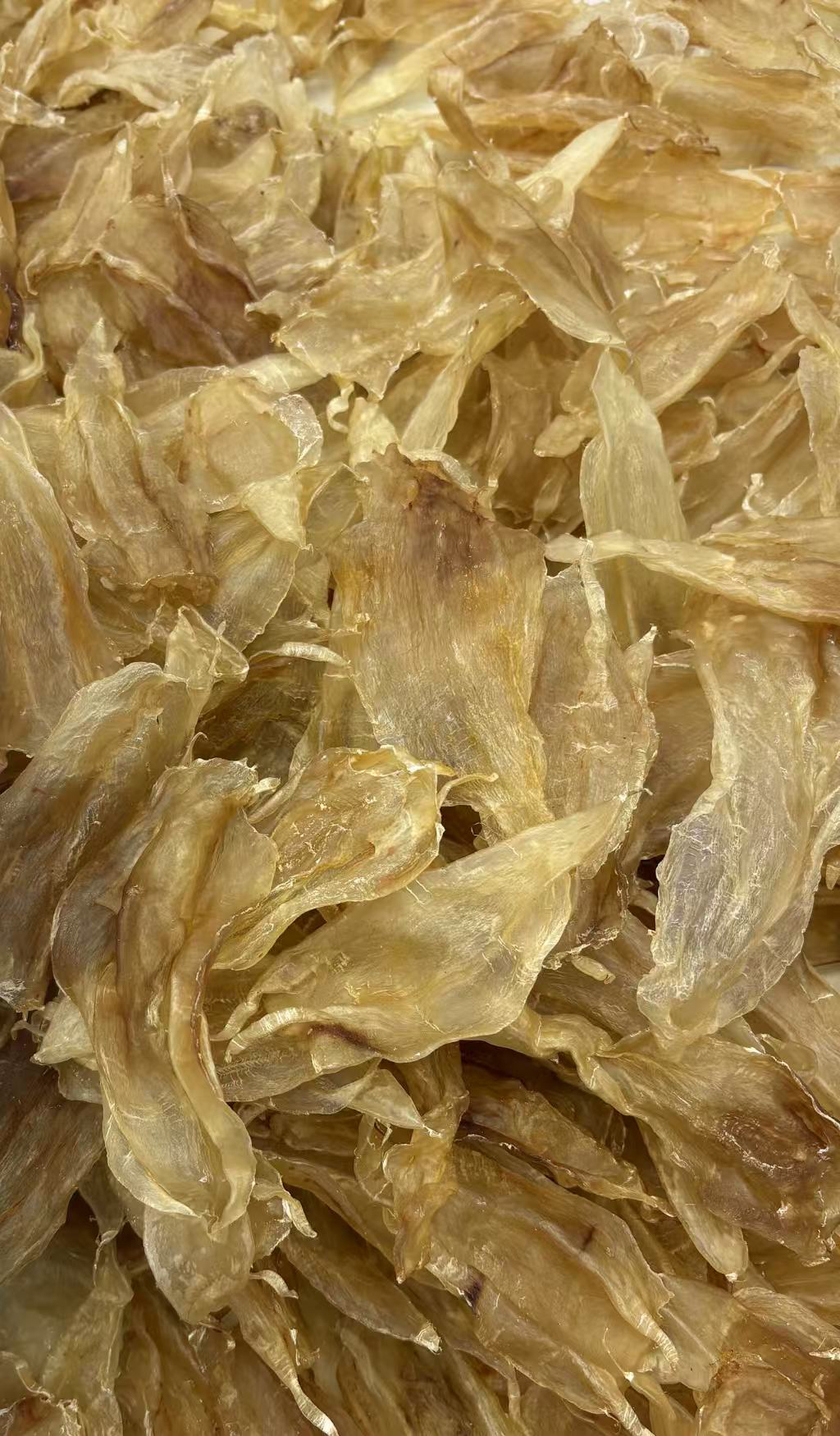 北海尖尾鱼胶干货