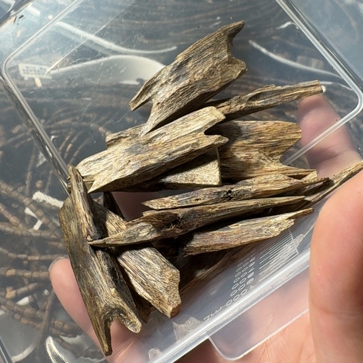 沉香碎屑沉香醇化料金丝红油奇楠沉香块料30g