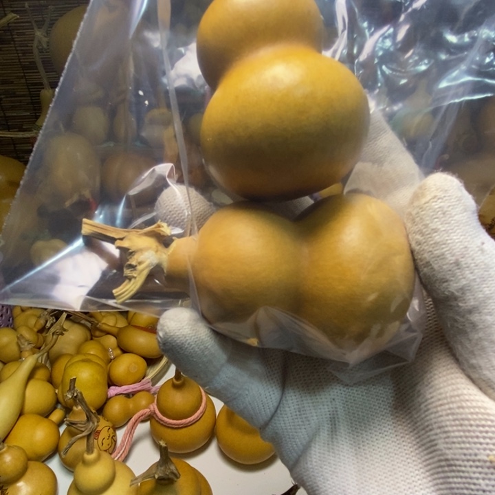 健***康葫芦8888888888888