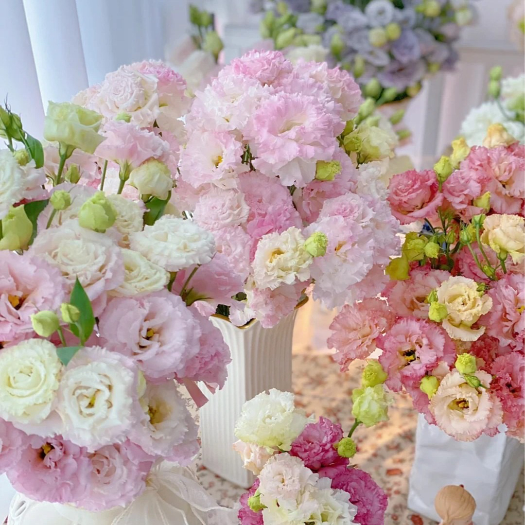 【洋桔梗】桔梗花鲜花无刺玫瑰多色耐养长花期家庭插花1单家用鲜花