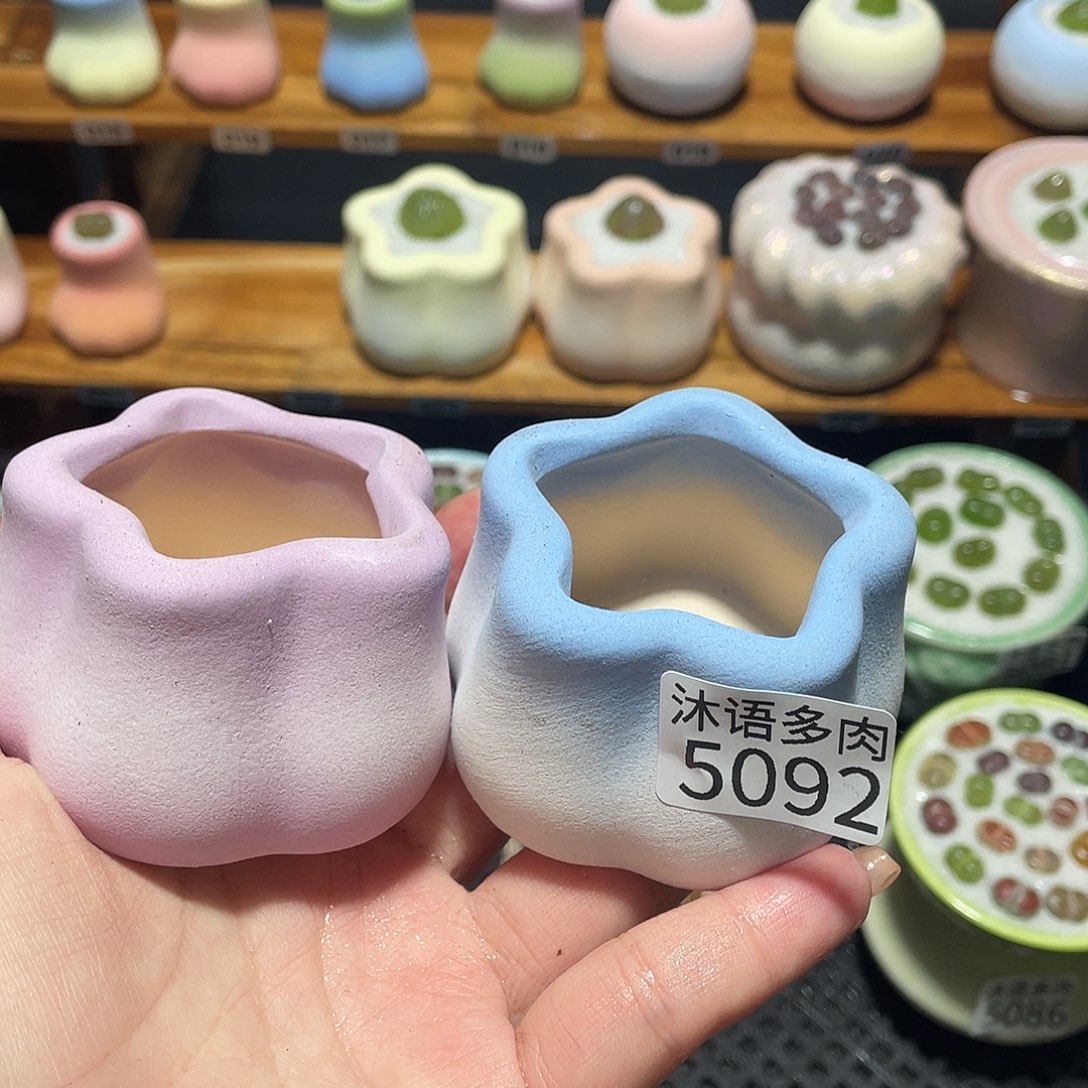 W***.带盆土植物 一物一拍5092