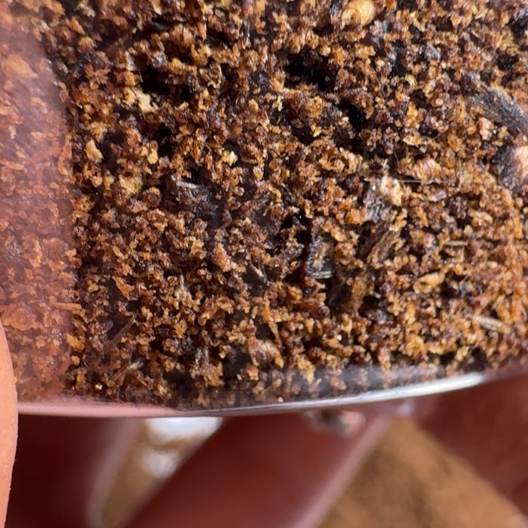 斑纹漆（虎斑木）陆河沉水精华粉50