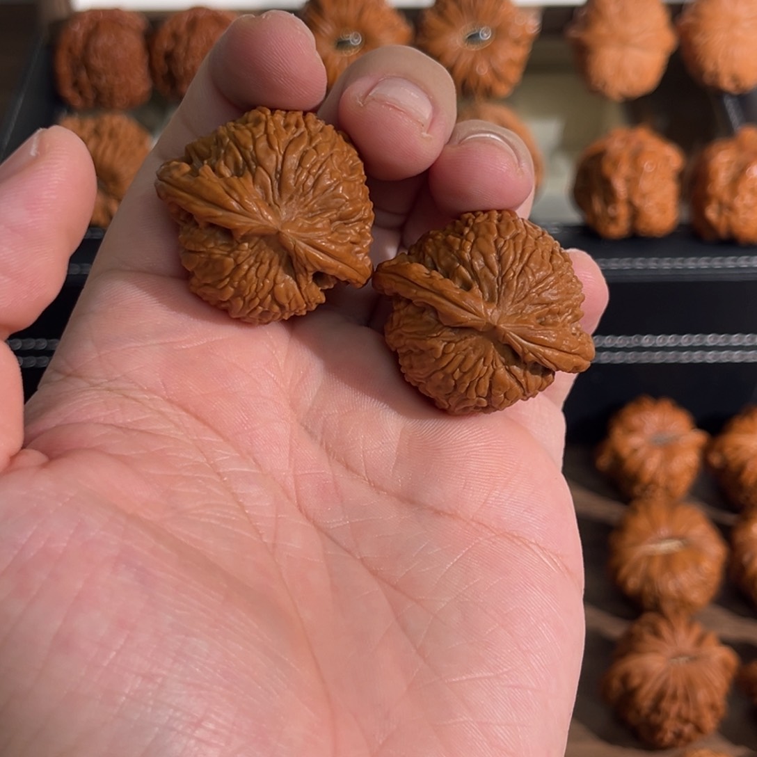 核桃手串/手链?****宝36全品球白