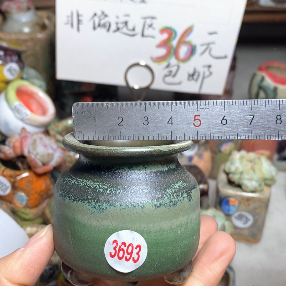 花盆拍5个送一个小礼物