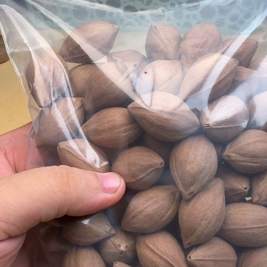 天***厚橄榄核手串/手链1