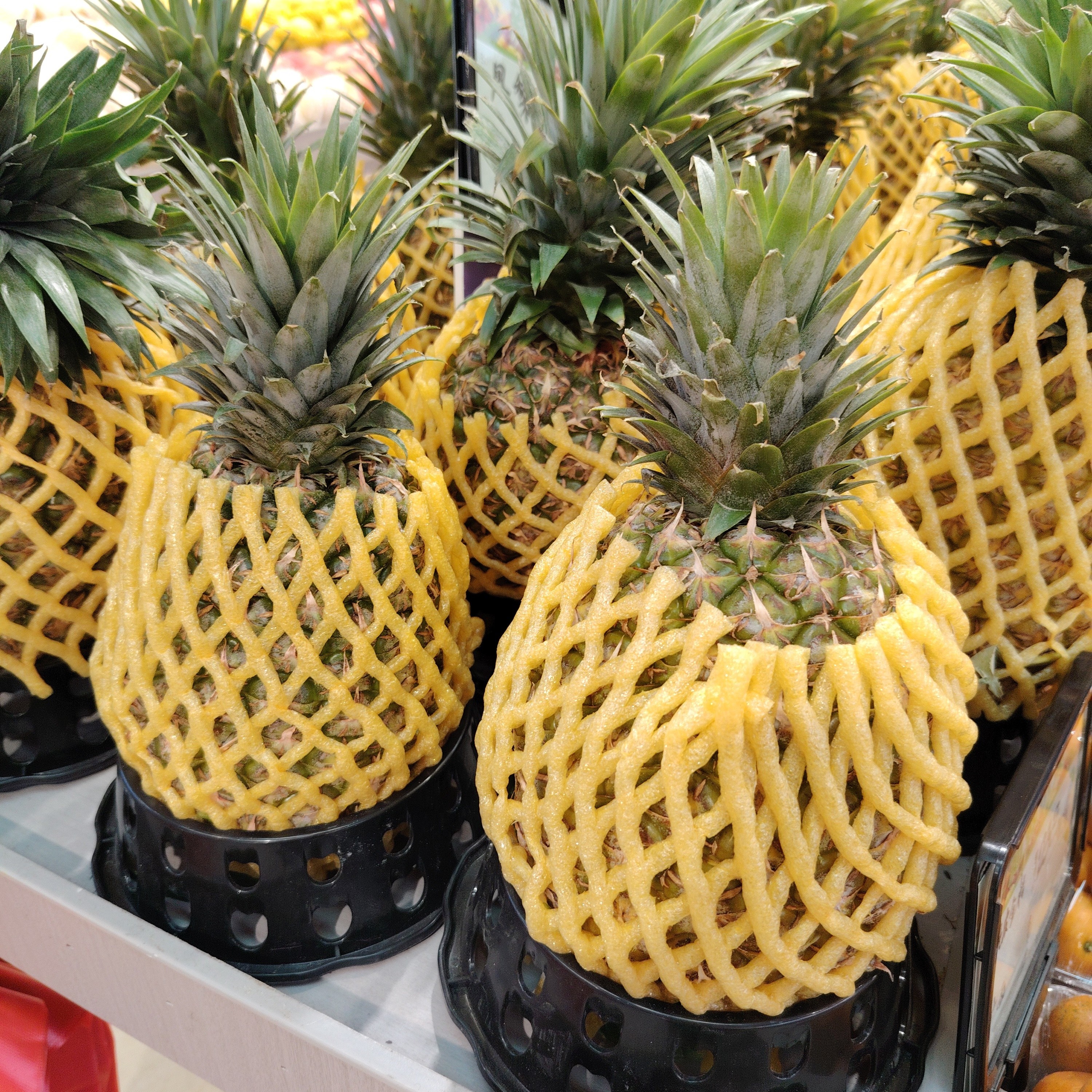 （廉江同城）树上熟凤梨/个