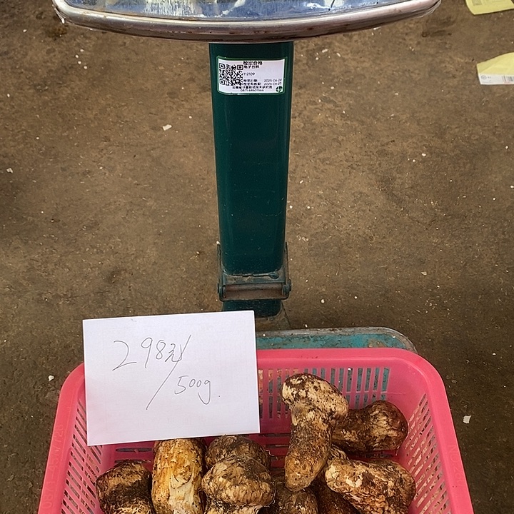 松茸中国大陆香格里拉新鲜松茸
