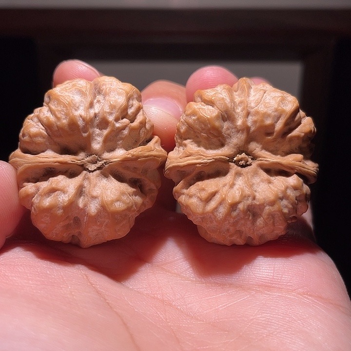 一***匀手串/手链核桃008