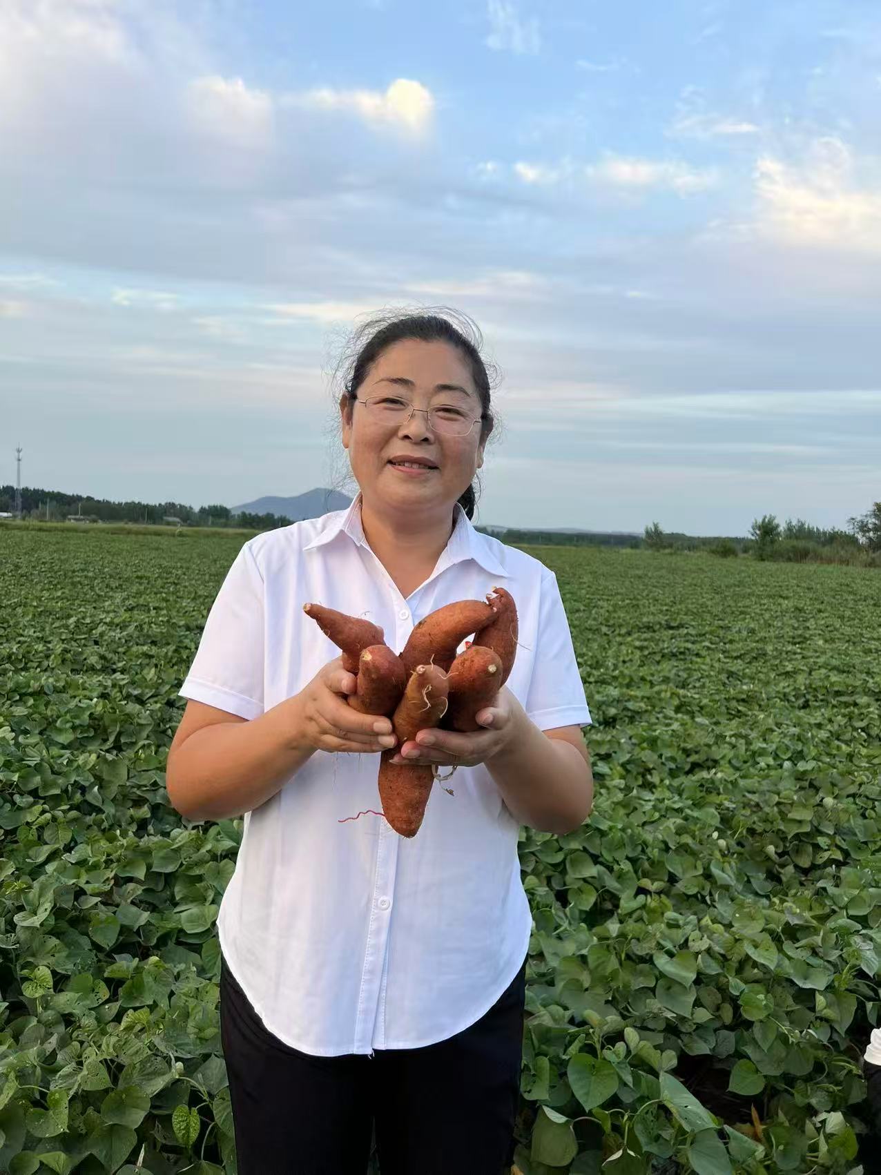 【葛书记助农】农家自种沙地紫薯 优质粗粮 软糯香甜 净重5斤