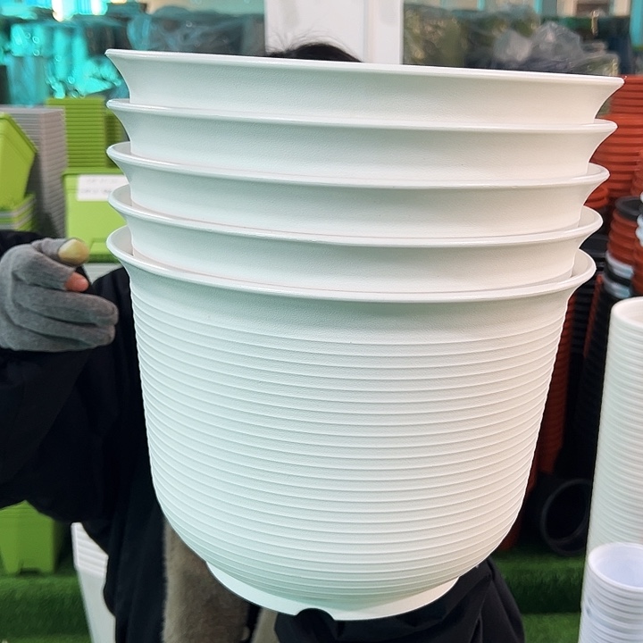 正品矮陶口30高21白色5个带托