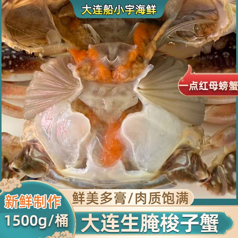 【船小宇】 生腌梭子蟹 螃蟹重1斤一点红飞蟹 4两/只【保鲜不保活】