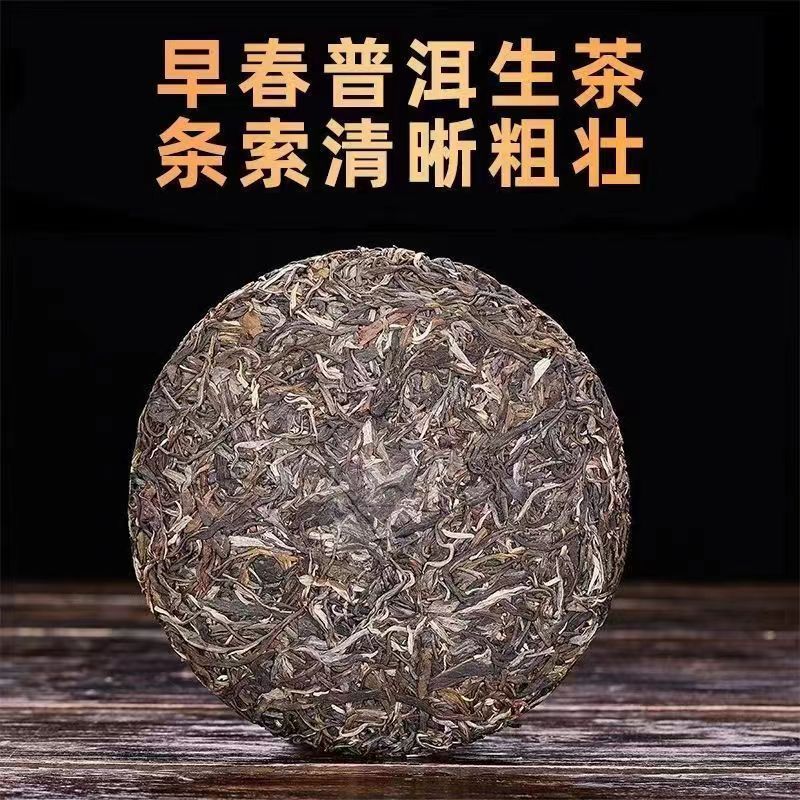 【2022年曼岗】大叶种普洱生茶高货品鉴