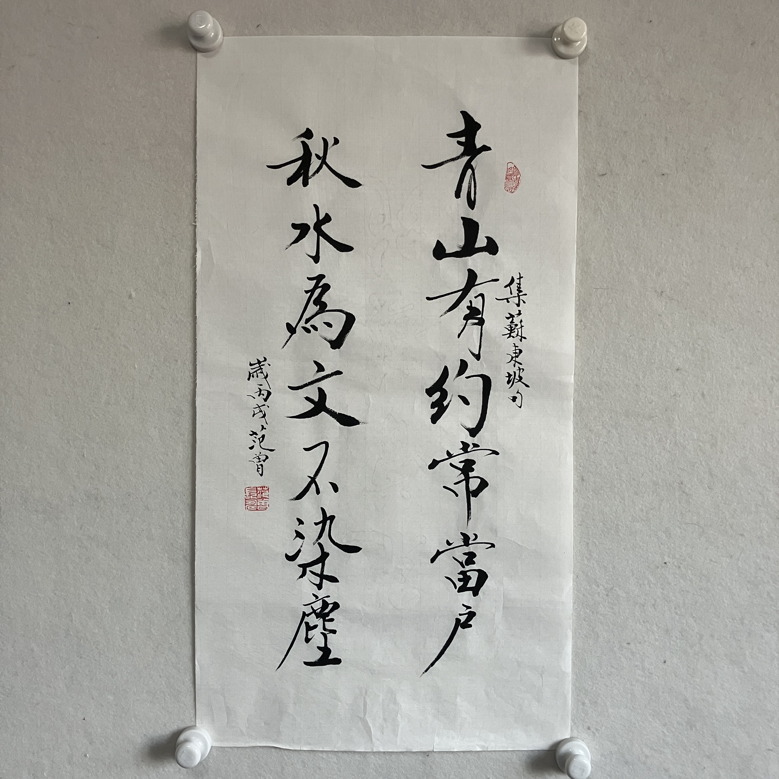 DD36书法 纸本水墨36×68cm