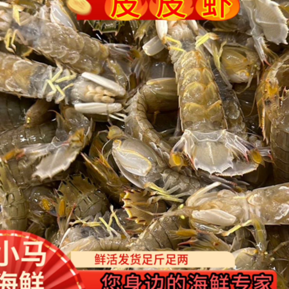 本地大片福利皮皮虾混合2-5斤