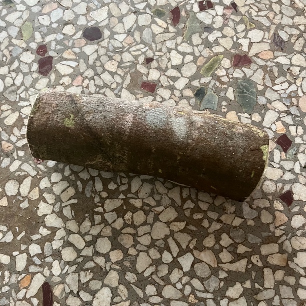 2原木原材料现场开切 可定制摆件 熏香 图片仅供参考2