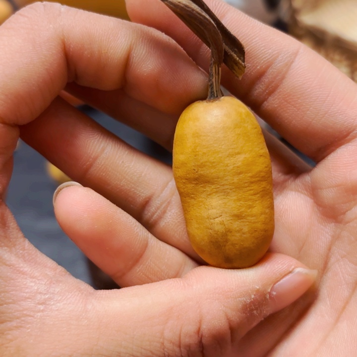 谷*泽888888888888888888888