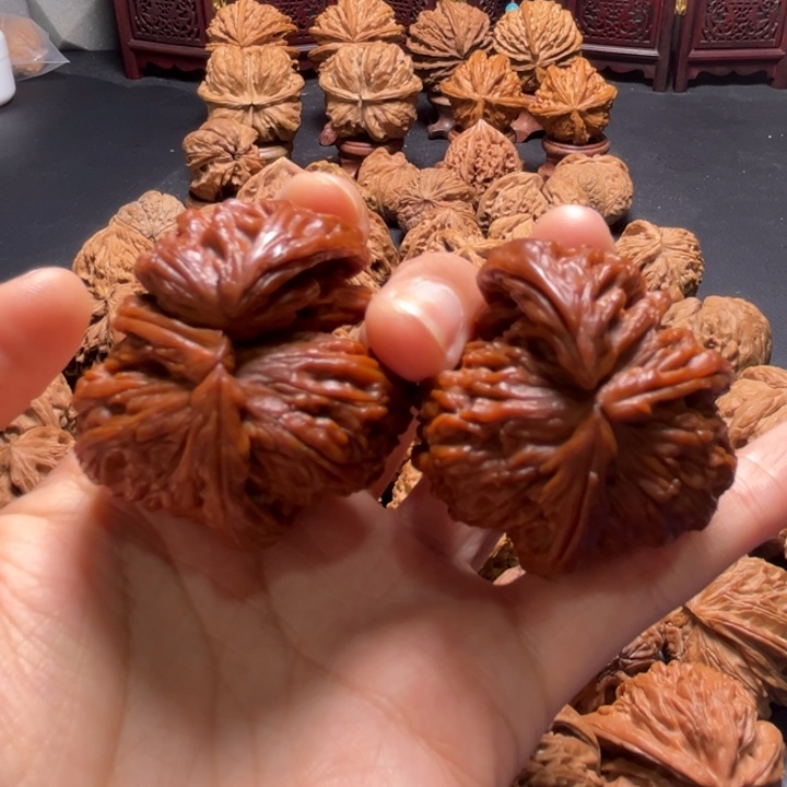 白狮子两棱挂角43尺寸核桃哈哈哈哈哈哈哈