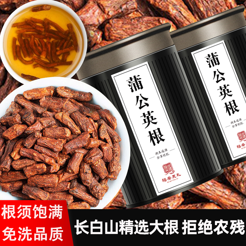 长白山蒲公英根茶叶500g大罐正品官方品牌店婆婆丁泡水喝养生花茶