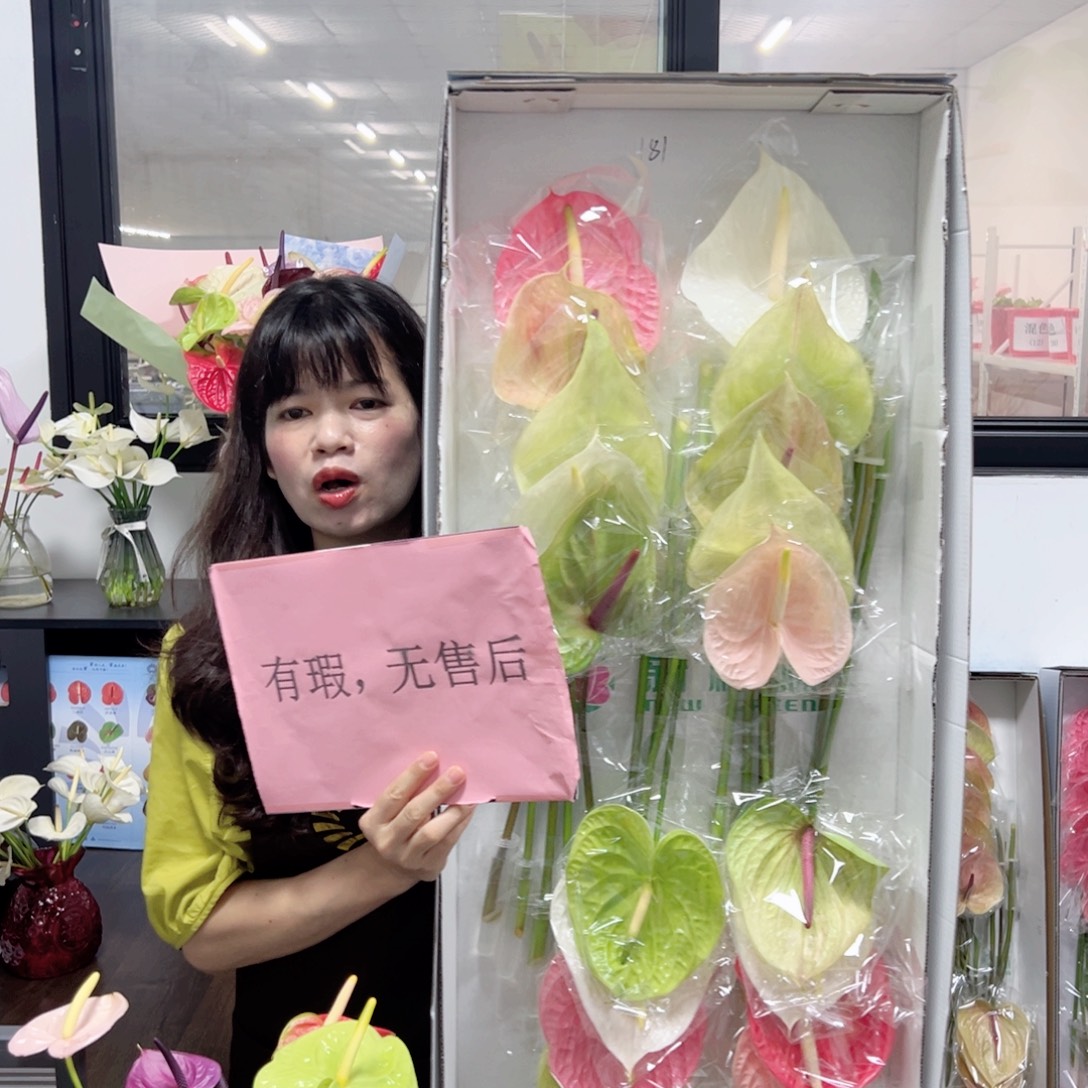 完全开放混色-18枝装无售后款181