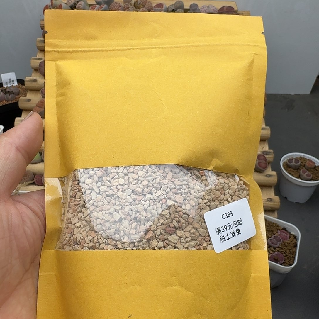 388号多肉硅藻土哈哈哈哈