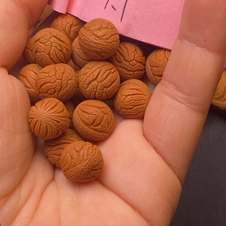 秦岭龙纹桃核21颗