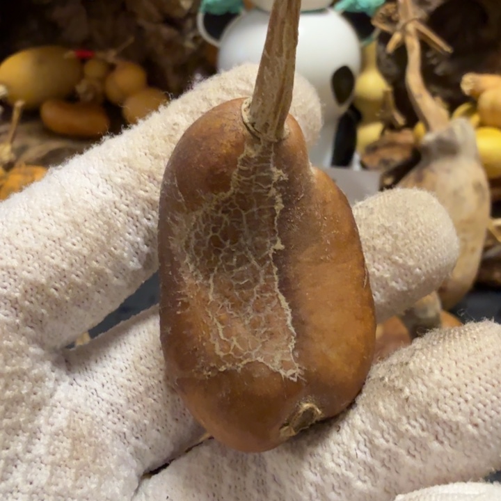 苏***六6666666667777777777788