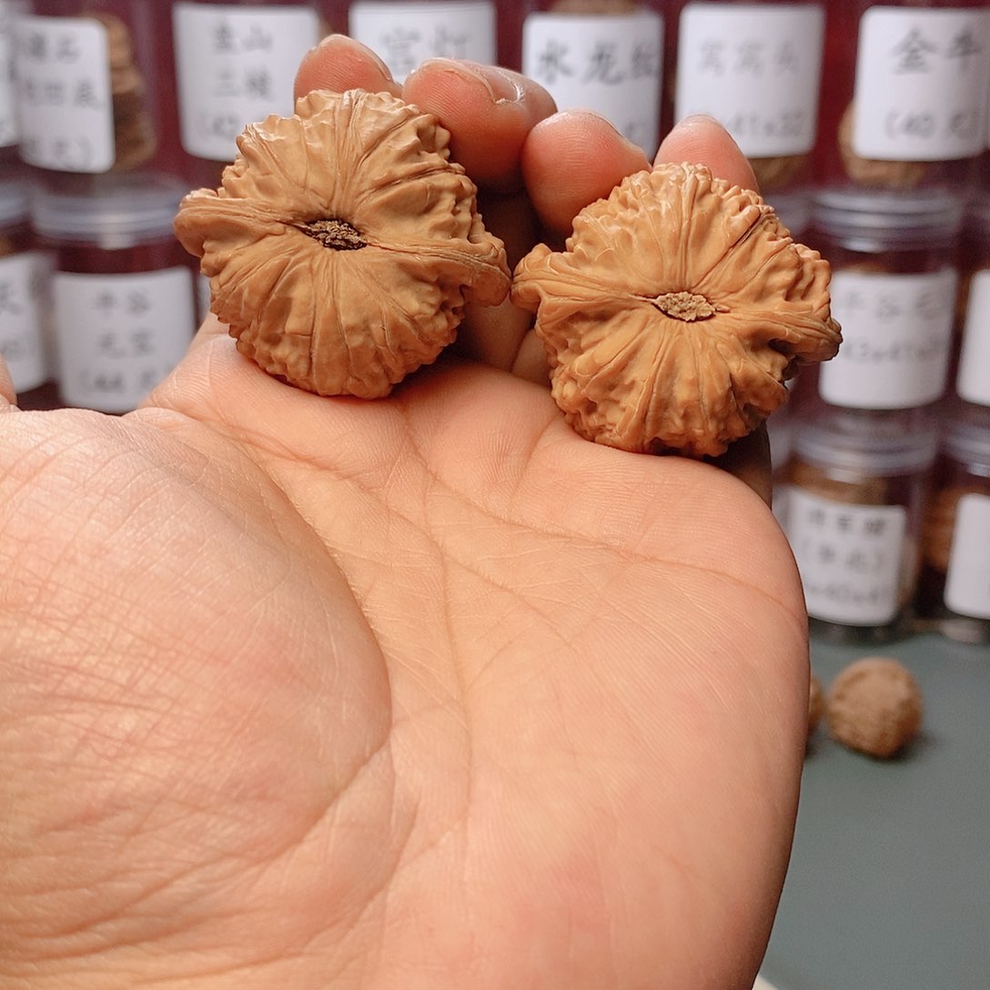 橙*里43全品白狮子文玩核桃