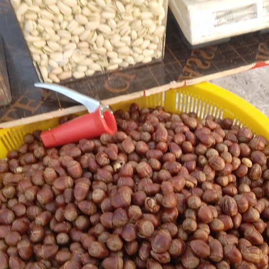 大个榛子长毛3斤装。