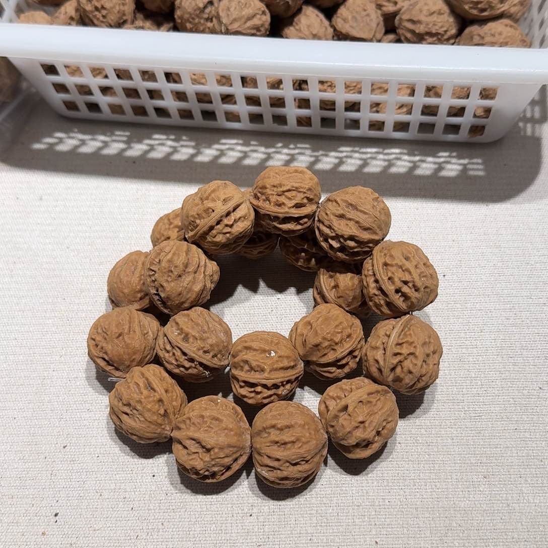 核桃手串/手链24号边25肚23高23