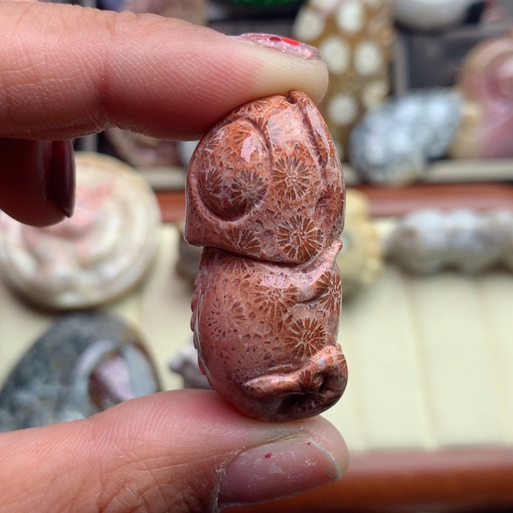 硅化珊瑚（珊瑚玉）颈饰未镶嵌