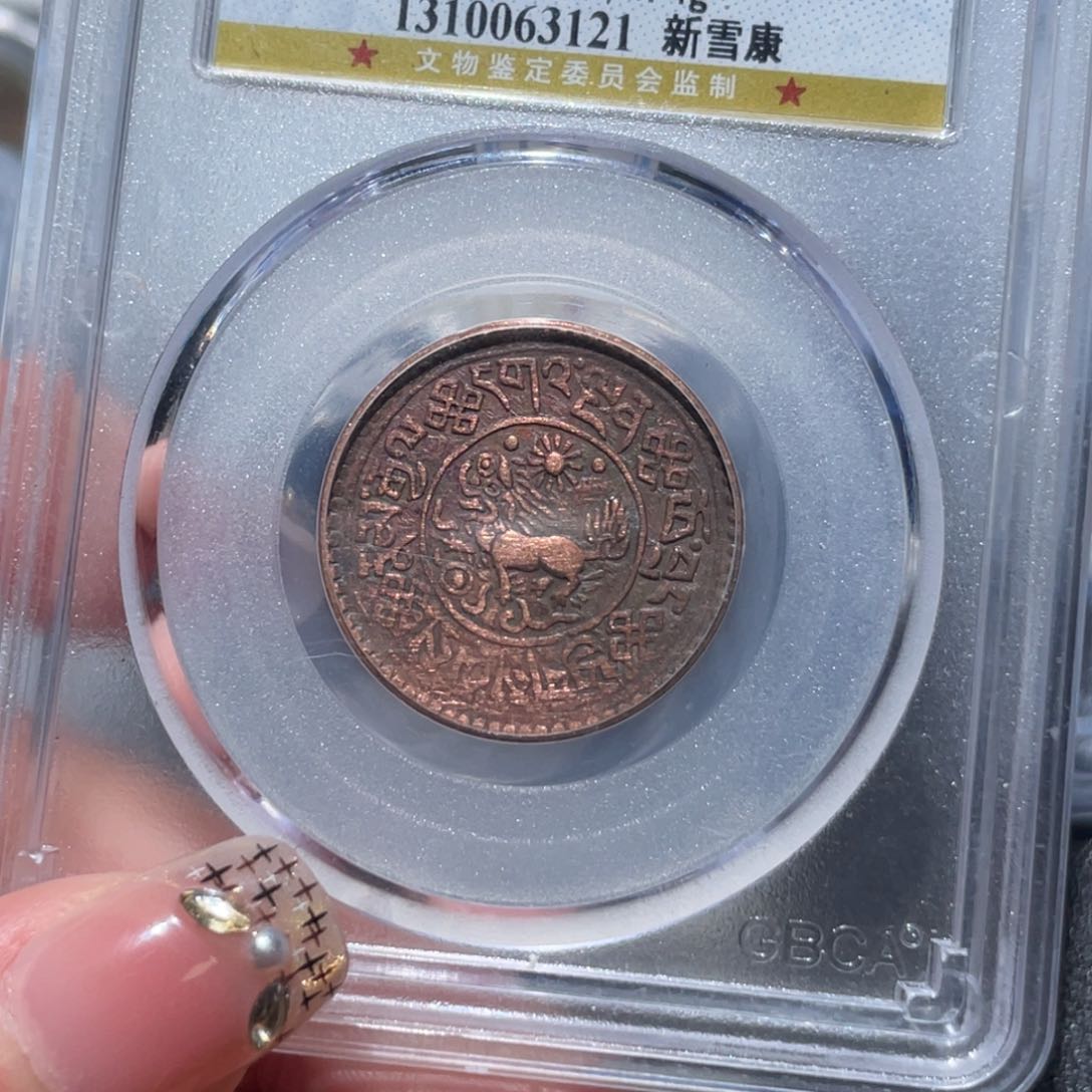 金属通古博今姚姚3121