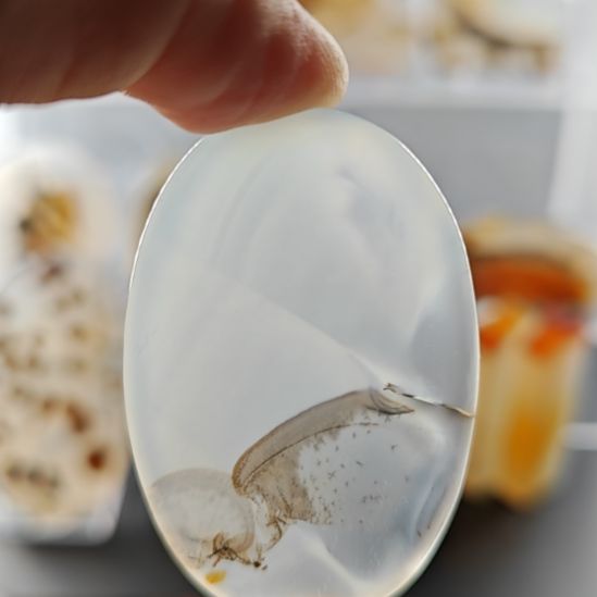 玛瑙/玉髓未镶嵌吊坠(不含链)123号