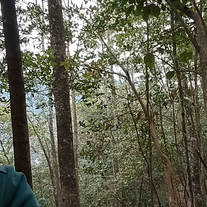 无花朵v滚滚滚滚滚滚皇后娘娘那那那