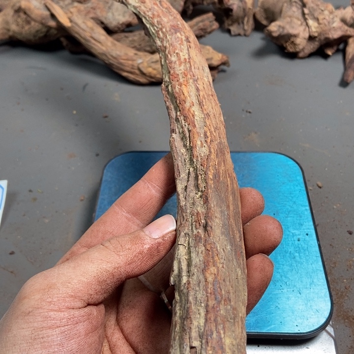 黄花梨/降香黄檀用****7