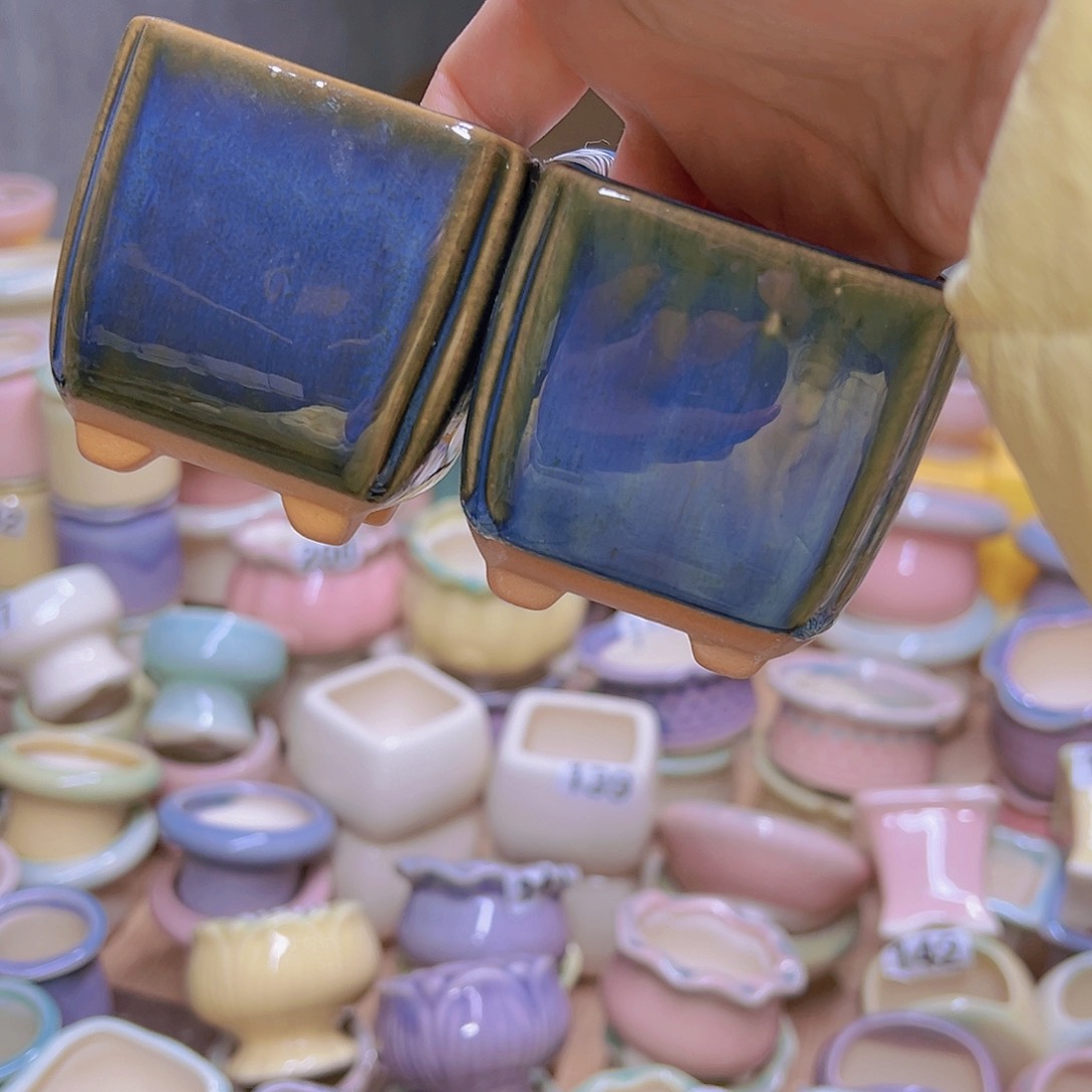 红陶陶瓷花盆当场满12包邮