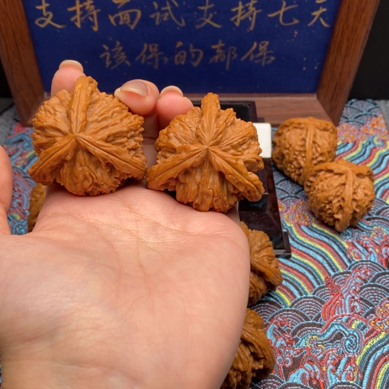 【闪购商品】2*爷白狮