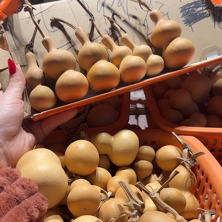 手串/手链杏核@*哥