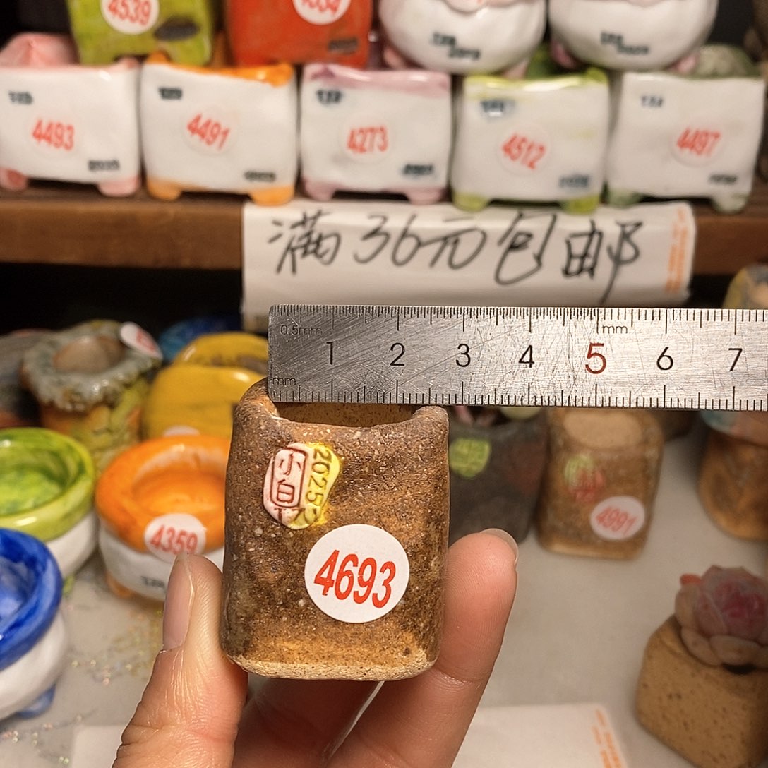 红陶拍3送一个小