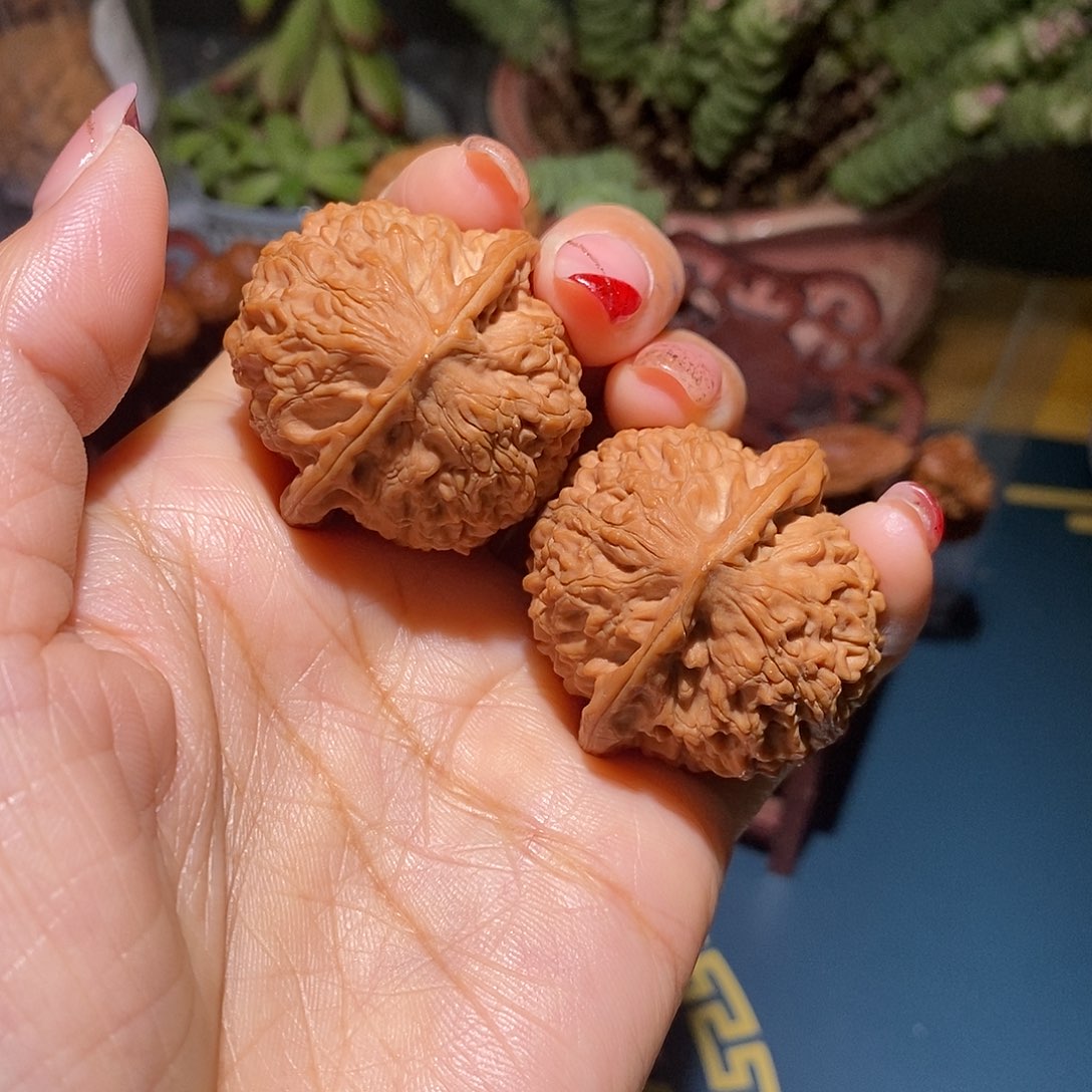 文玩核桃把件38金牛全品