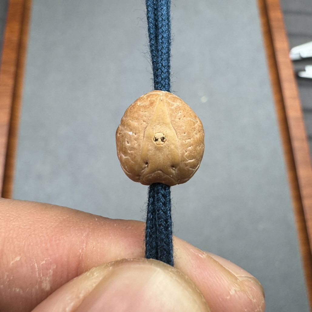 11+尼泊尔实心龙眼单颗凤眼佛塔顶珠腰珠背云，开孔不退wjxy10