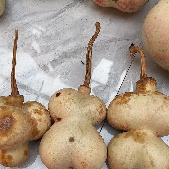 苏***六哈哈哈哈哈哈哈哈